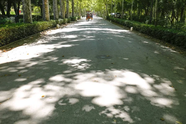 Carruaje a caballo conduciendo por el Parque María Luisa, Sevilla, España — Foto de Stock