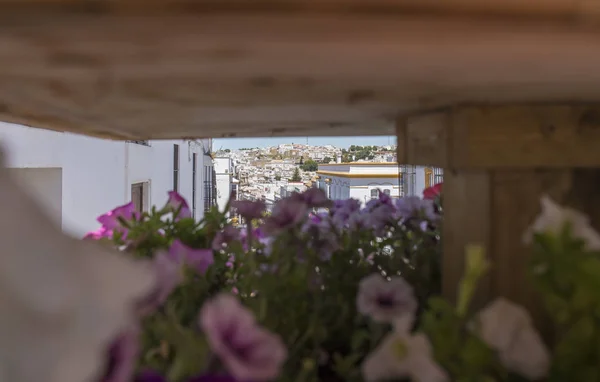 Beyaz Köy Arcos de la Frontera, Cadiz, Endülüs, İspanya — Stok fotoğraf