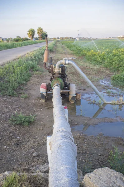 Pompa air dengan mesin diesel menggunakan sistem sprinkler — Stok Foto