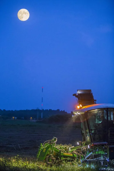 Томатный комбайн работает ночью под лунным светом — стоковое фото