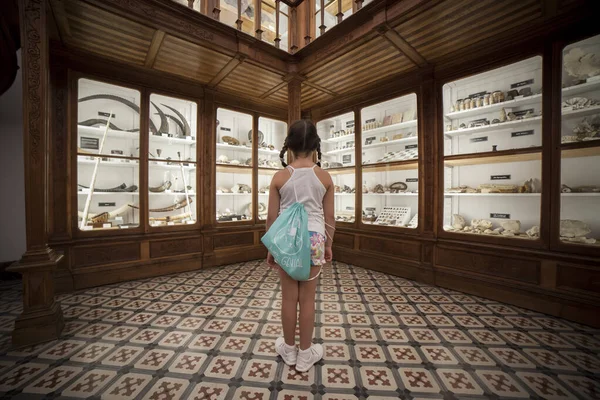 Коимбра Португалия Сентября 2019 Года Маленькая Девочка Наблюдает Зоологическими Шкафами — стоковое фото