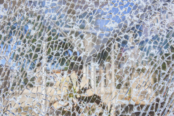 Разбитая стеклянная поверхность на заднем плане сада
