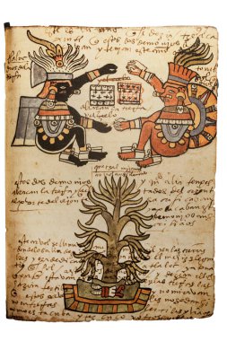 Kakao ağacı. Codex Tudela, 16. yüzyıl resimli Aztek el yazması. Amerika Müzesi, Madrid, İspanya