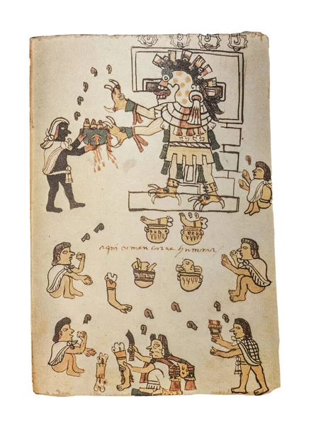 Cannibalism Practices Aztec Human Sacrifices Ceremony Folio Codex Tudela 16Th — Stock Photo, Image