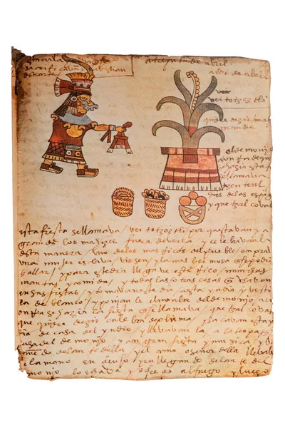 Fiesta Huey Tocoztli Folio 14R Códice Tudela Códice Azteca Pictórica — Foto de Stock