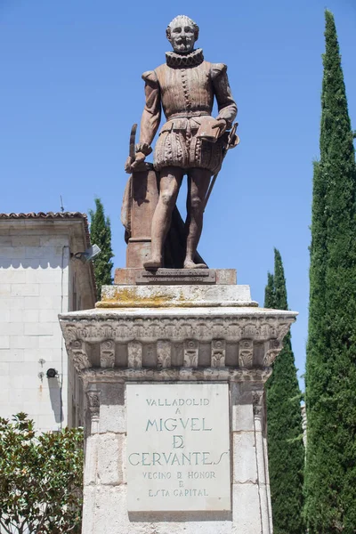 Вальядолид Испания Июля 2020 Года Мигель Сервантес Памятник Писателю Николя — стоковое фото
