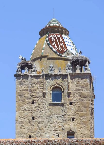 Alfiler Turm Ein Gotischer Glockenturm Aus Dem Jahrhundert Mit Glasierten — Stockfoto