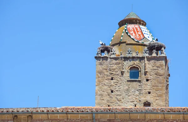 Alfiler Tower Campanile Gotico Del Xiv Secolo Ornato Tegole Vetrate — Foto Stock