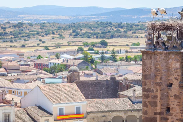 Alfiler Tower 유약을 식되어 황새가 스페인 트루히요 — 스톡 사진