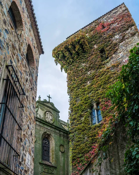 桑德塔 中世纪的老宫殿房子隐藏在绿色和红色常春藤 卡塞雷斯 埃斯特雷马杜拉 西班牙 — 图库照片