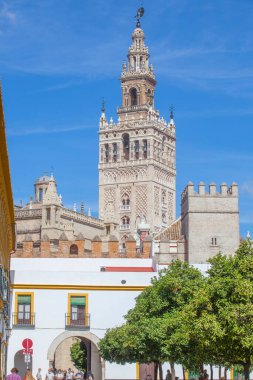 Giralda, Seville Katedrali 'nin çan kulesi. Alcazar portakal ağaçlarının avlusundan görüntü. Sevilla, İspanya