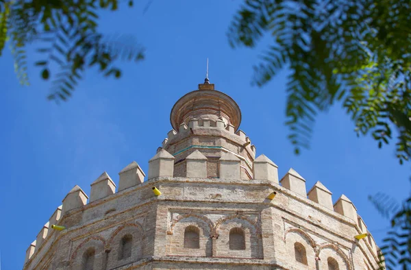 Torre Del Oro Sewilla Hiszpania Wieża Strażnicza Wzniesiona Celu Kontroli — Zdjęcie stockowe