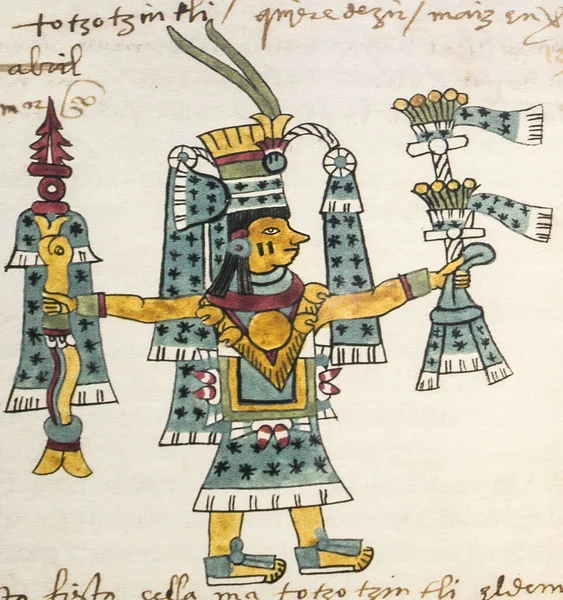 アステカ暦の月Tozoztontli 16世紀の絵のようなアステカの写本 コーデックス トゥデラ フォリオ98V アメリカの博物館 マドリード スペイン — ストック写真