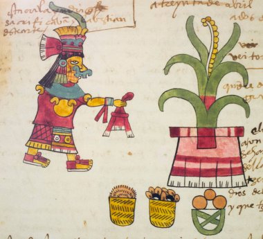 Aztek takviminin Huey Tozoztli Ayı. Kodeks Tudela, Folio 14r. Amerika Müzesi, Madrid, İspanya