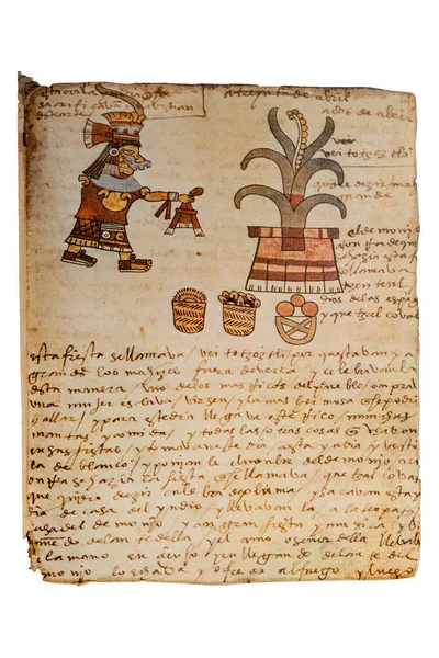 Mes Huey Tozoztli Del Calendario Azteca Codex Tudela Folio 14R — Foto de Stock