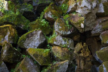 Grotto, Nossa Senhora dos Remedios merdivenleri, Lamego, Portekiz Sığınağı 'nın yoluna yerleştirildi.