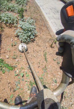 Dairesel testere dişlisi iş başında. Birinci kişi görünümü