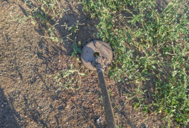 Dairesel testere dişlisi iş başında. Birinci kişi görünümü