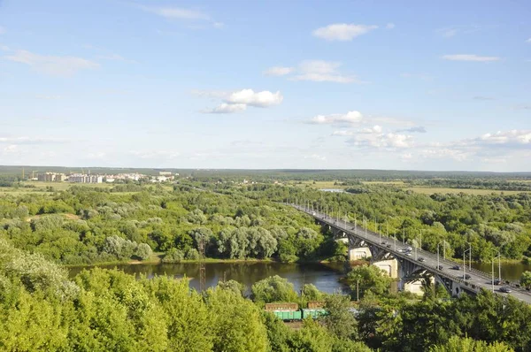 Lucht Een Bos Vladimir Stad Rusland Natuur Zomer — Stockfoto