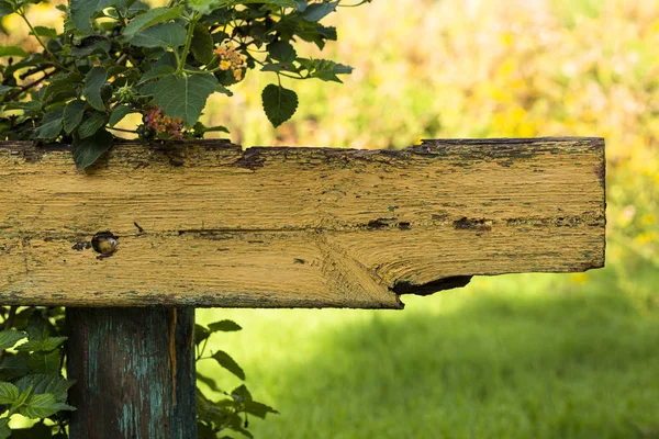 Alte Holzbank Mit Wildblumen Bewachsen — Stockfoto