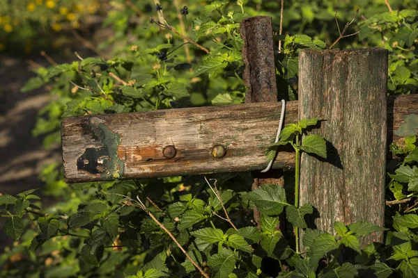 Eingestürzter Zaun Inmitten Grüner Vegetation — Stockfoto