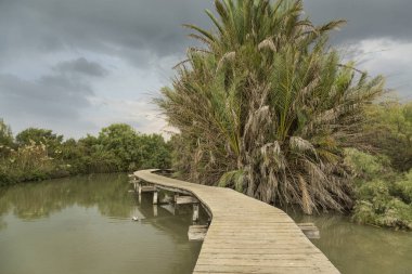 Yürüyüş için gölet üzerinde ahşap köprü