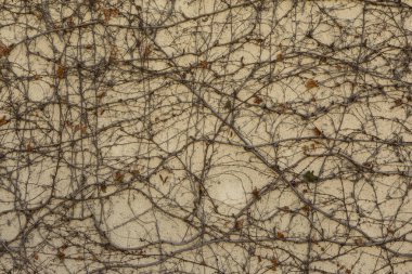 Kuru kaynaklanıyor arka plan