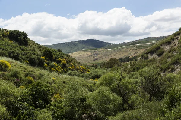 Bahar Manzarası arkaplanı