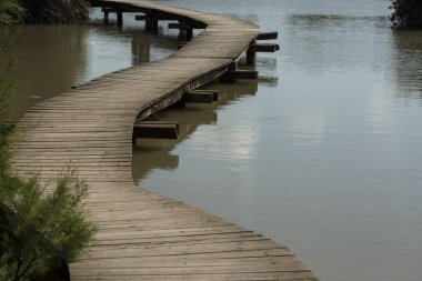 Suyun üzerinde yürüyün