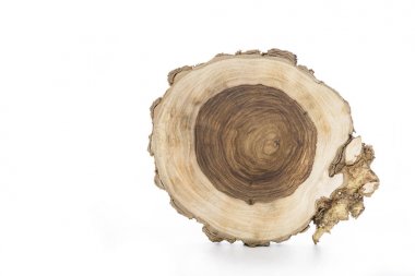 Çok yıllık bir ağaç üzerinde iç içe yıllık halkalar