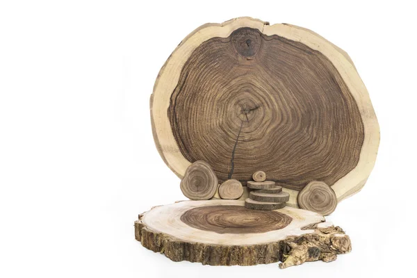 Textura de madera en un corte circular sobre fondo blanco —  Fotos de Stock