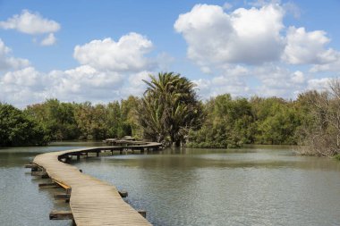 Yürüyen ahşap köprüsü olan yedekteki göl.