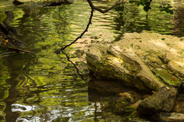 Big stone in the creek under the green branches of a tree