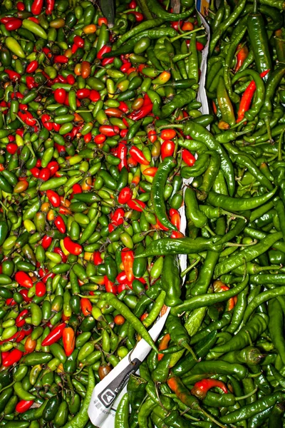 Pimentas Diferentes Tipos Curto Longo Verde Laranja Vermelha Saco Mercado — Fotografia de Stock