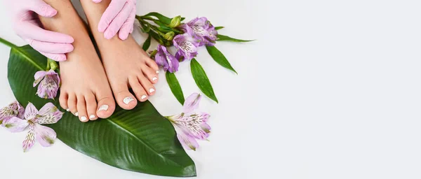 Beautiful perfect female skin legs feet top view with tropical flowers and green palm leaf. Nail polish, care and clean, spa pedicure treatment in white. Concept on background isolated. Copy space