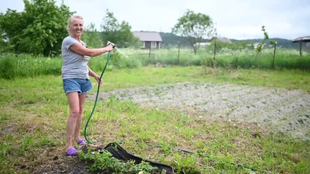 成熟した高齢者の女性は水のホースで植物を散水。農業、園芸、農業、高齢者と人々の概念-シニア女性または夏の農場の庭のベッドで有機果実を栽培する農家 — ストック動画