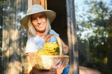 Mutlu gülümseyen yaşlı kadın kırsal kesimdeki ahşap köy evinde çiçek sepetli, açık pencerede poz verirken eğleniyor. Emekli yaşlılar konsepti. Kır evinde karantina