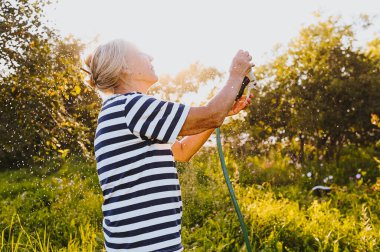 Mutlu yaşlı bir kadın yaz bahçesinde çiçekleri hortumla sularken eğleniyor. Arka planda bir damla su. Çiftçilik, bahçıvanlık, tarım, yaşlı insanlar. Çiftlikte organik sebzeler yetiştiriyor.. 