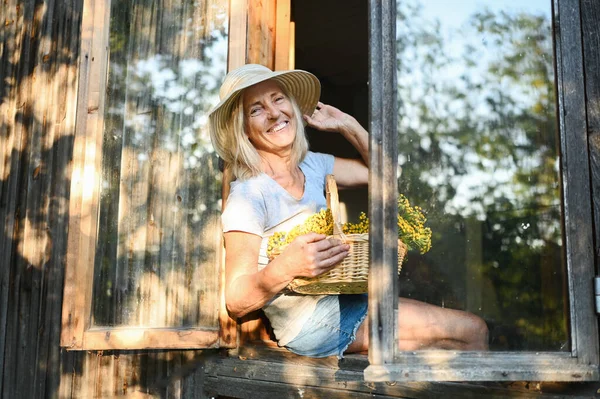 Mutlu gülümseyen yaşlı kadın kırsal kesimdeki ahşap köy evinde çiçek sepetli, açık pencerede poz verirken eğleniyor. Emekli yaşlılar konsepti. Kır evinde karantina