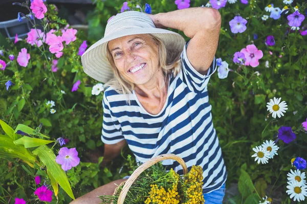Happy smiling elderly senior woman having fun posing in summer garden with flowers in straw hat. Farming, gardening, agriculture, retired old age people concept. Growing organic plants on farm.