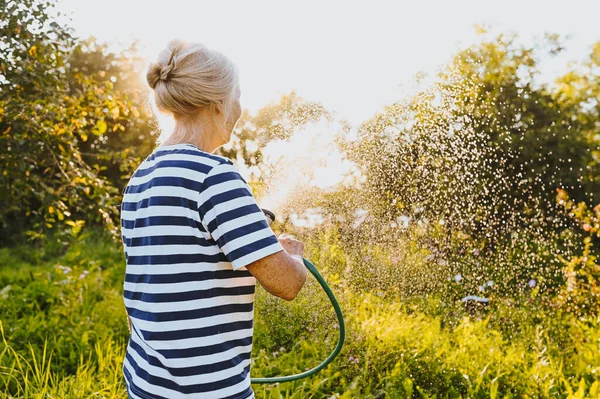 정원에서 물주는 재미있는 화초를 복하다 백라이트로 정원가꾸기 노인들 농장에서 유기농 — 스톡 사진