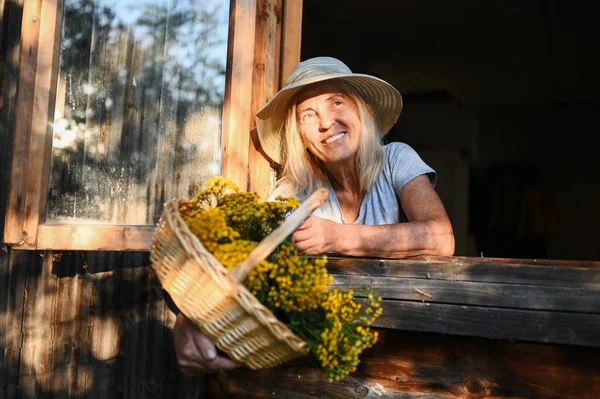 Feliz Sonriente Anciana Divirtiéndose Posando Junto Una Ventana Abierta Rústica —  Fotos de Stock