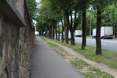 Parkta ağaçların arasında sokakta