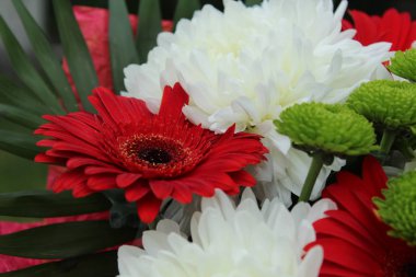 buket beyaz ve kırmızı krizantem çiçek