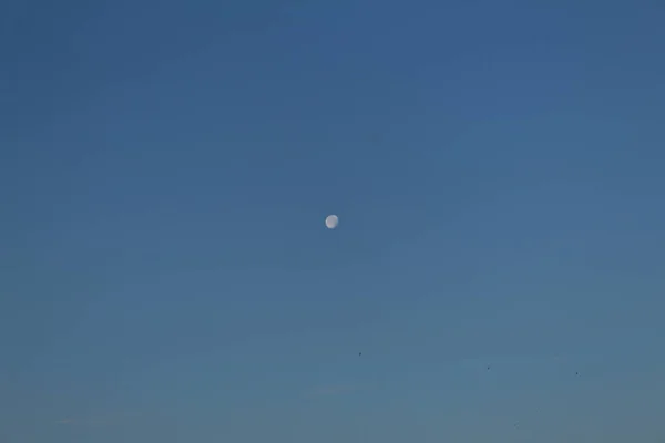Lune Blanche Dans Ciel Bleu — Photo