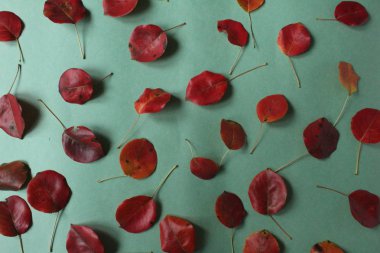 Yeşil arka planda küçük kırmızı yapraklar.