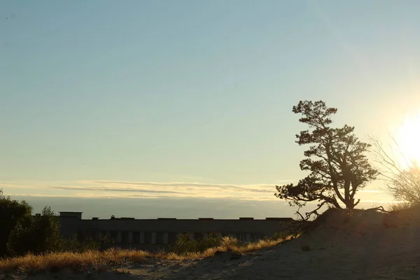 Akşam manzarası gün batımında kumlu bir açıklık mavi gökyüzüne karşı güzel otlar ve arka planda bir ev binası