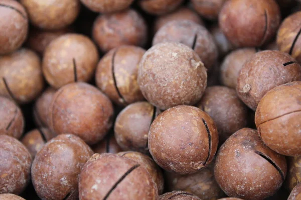 Food Background Oval Macadamia Nut Brown Beige Close Top View — Stock Photo, Image