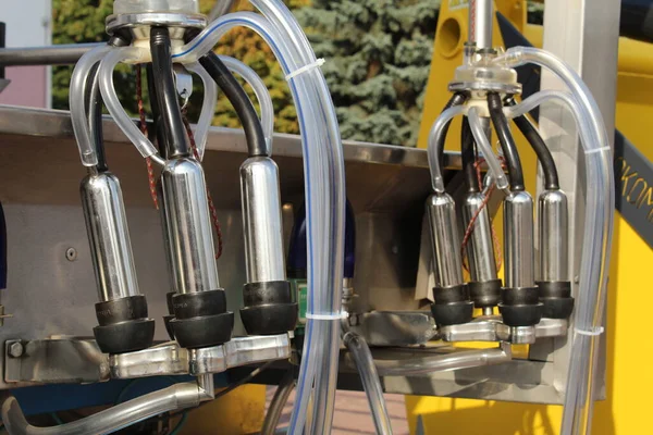 süt makinesinin gümüş rengi ve süt tarımının pastörize edilmesi için konteyner.