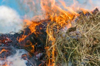 Yangın kuru otlara sıçrıyor